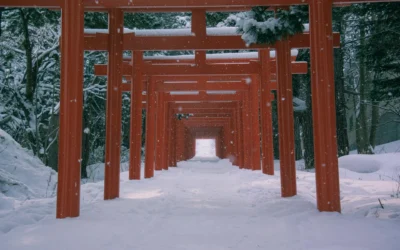 A Virtual Visit to a Japanese Shrine