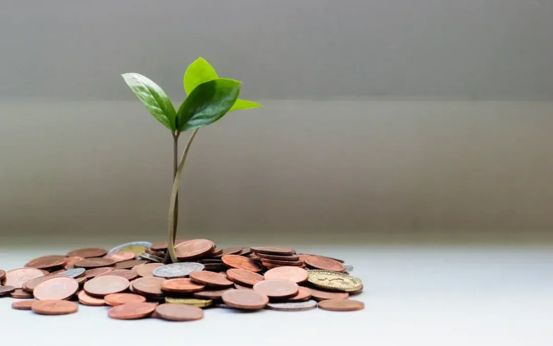 Japan’s Foreign Direct Investment into Africa’s Digital Economy is Rising